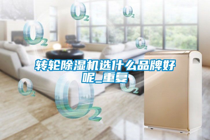 国产精品三级在线观看 转轮除湿机选什么品牌好呢_重复