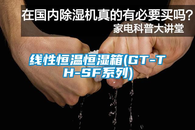 国产精品欧美激情视频 线性恒温恒湿箱(GT-TH-SF系列)