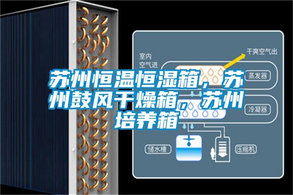 国产精品欧美激情视频 苏州恒温恒湿箱，苏州鼓风干燥箱，苏州培养箱