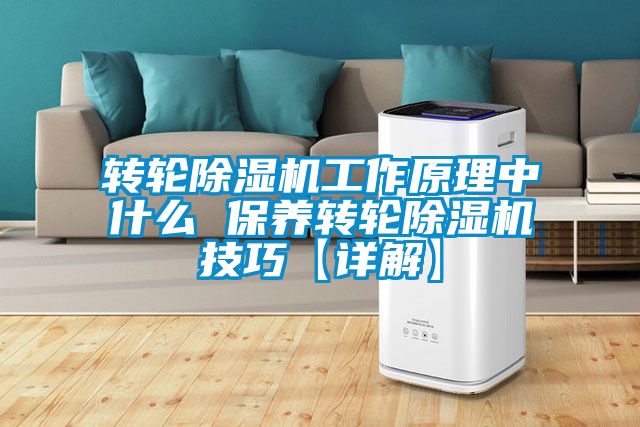 国产精品三级在线观看 转轮除湿机工作原理中什么 保养转轮除湿机技巧【详解】
