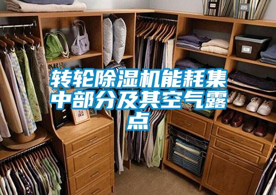 国产精品欧美激情视频 转轮除湿机能耗集中部分及其空气露点