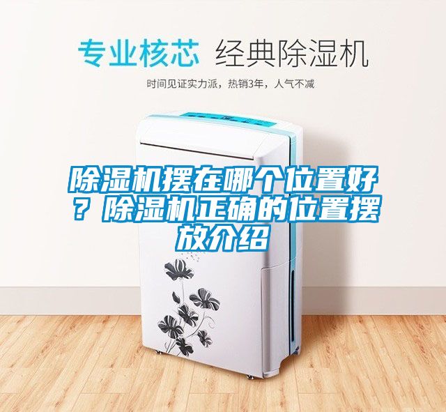 国产精品三级在线观看 除湿机摆在哪个位置好？除湿机正确的位置摆放介绍