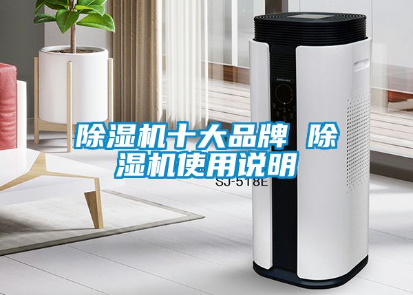 国产精品三级在线观看 除湿机十大品牌 除湿机使用说明