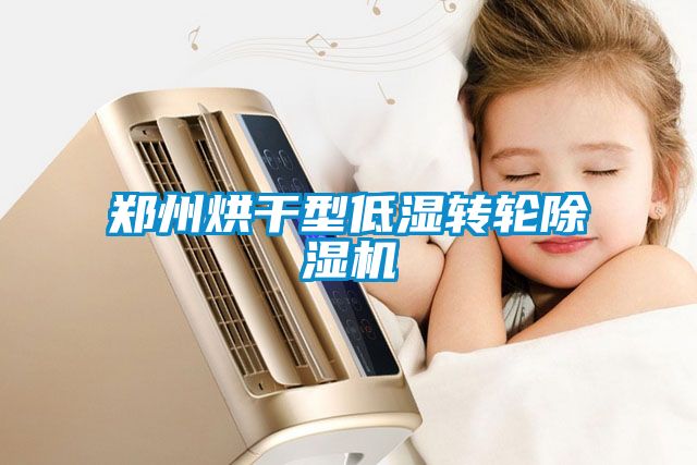 国产精品欧美激情视频 郑州烘干型低湿转轮除湿机