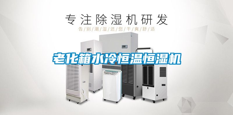 国产精品欧美激情视频 老化箱水冷恒温恒湿机