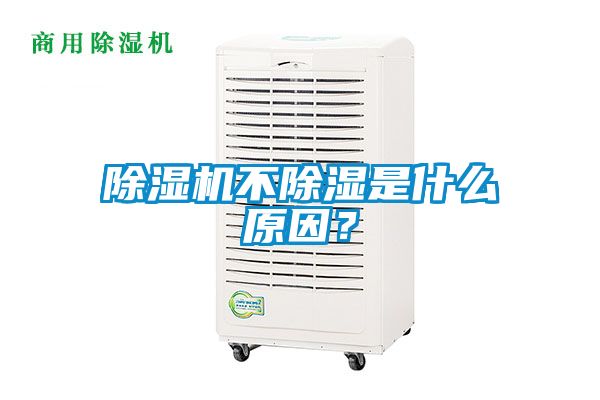 国产精品三级在线观看 除湿机不除湿是什么原因？