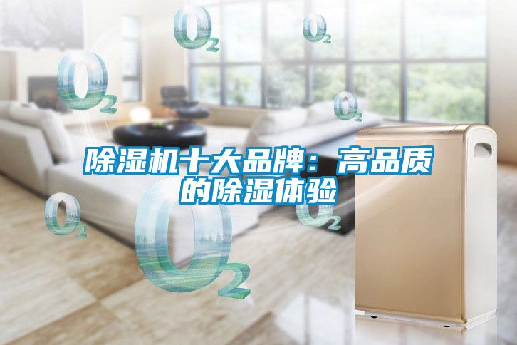 国产精品三级在线观看 除湿机十大品牌：高品质的除湿体验