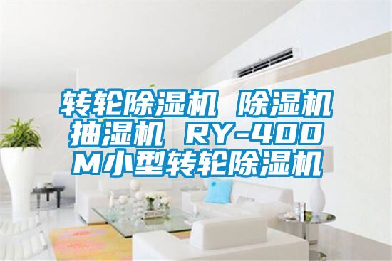 国产精品欧美激情视频 转轮除湿机 除湿机抽湿机 RY-400M小型转轮除湿机