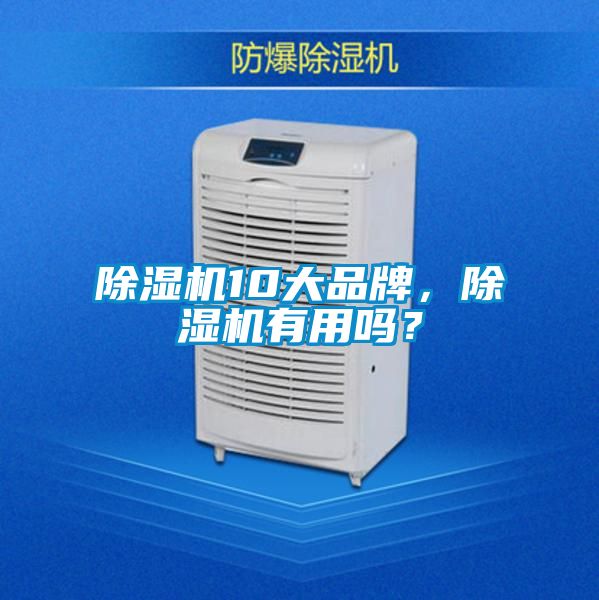 国产精品欧美激情视频 除湿机10大品牌，除湿机有用吗？