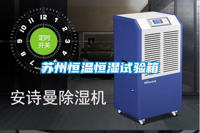 国产精品三级在线观看 苏州恒温恒湿试验箱