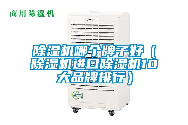 国产精品欧美激情视频 除湿机哪个牌子好（除湿机进口除湿机10大品牌排行）