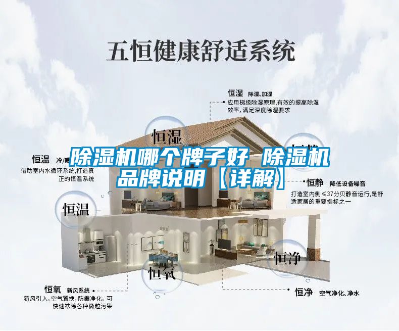 国产精品探花在线观看 除湿机哪个牌子好 除湿机品牌说明【详解】