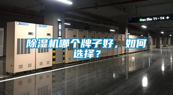 国产精品三级在线观看 除湿机哪个牌子好，如何选择？