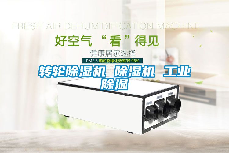 国产精品欧美激情视频 转轮除湿机 除湿机 工业除湿