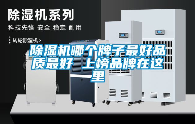 国产精品欧美激情视频 除湿机哪个牌子最好品质最好 上榜品牌在这里
