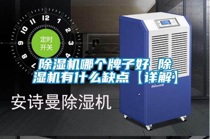 国产精品欧美激情视频 除湿机哪个牌子好 除湿机有什么缺点【详解】