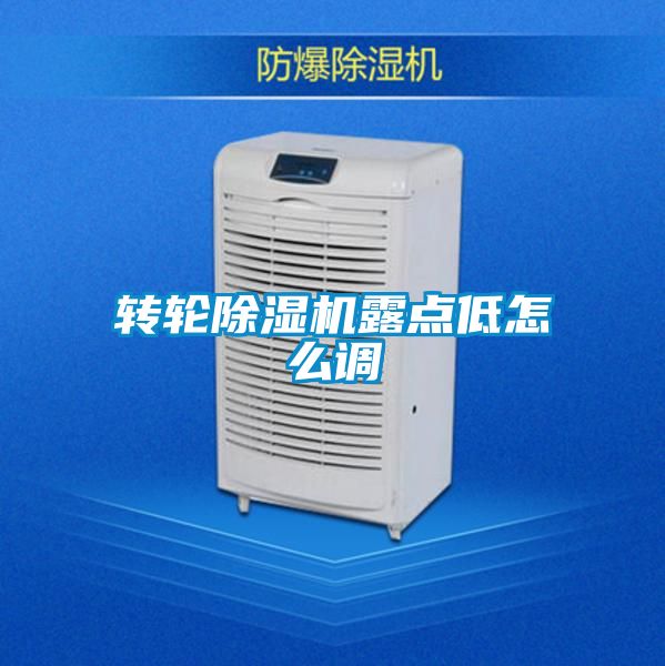 国产精品三级在线观看 转轮除湿机露点低怎么调