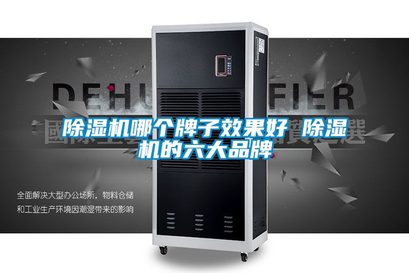国产精品欧美激情视频 除湿机哪个牌子效果好 除湿机的六大品牌