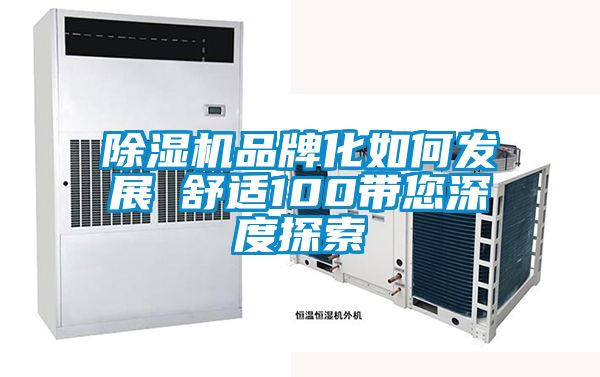 国产精品欧美激情视频 除湿机品牌化如何发展　　舒适100带您深度探索