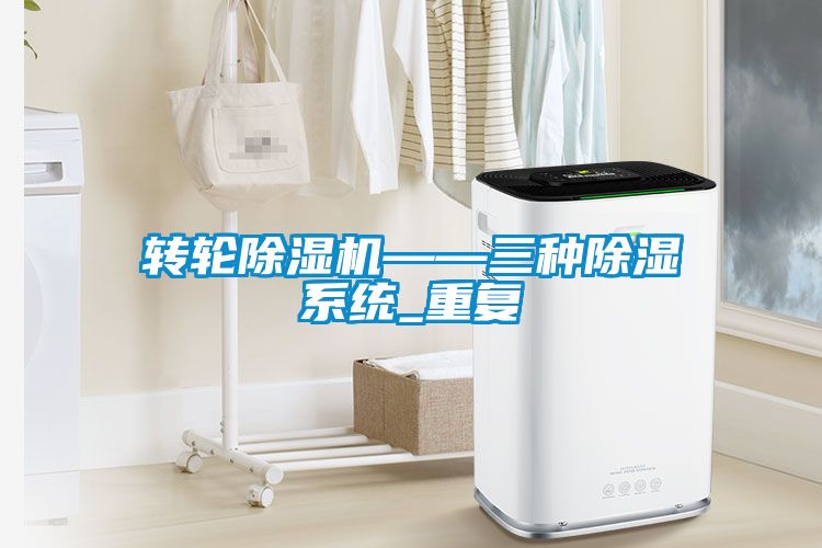 国产精品欧美激情视频 转轮除湿机——三种除湿系统_重复