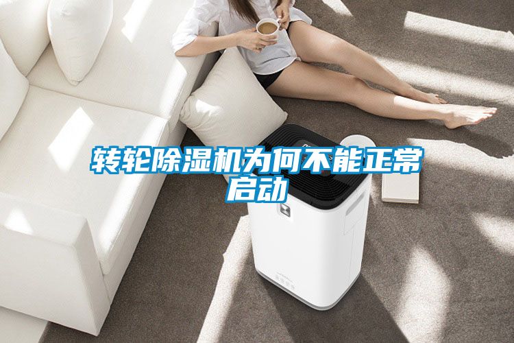 国产精品欧美激情视频 转轮除湿机为何不能正常启动