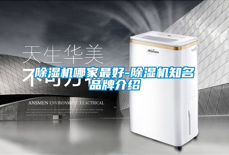 国产精品三级在线观看 除湿机哪家最好-除湿机知名品牌介绍