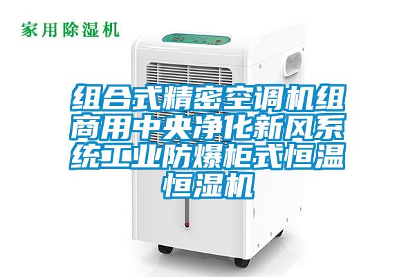国产精品三级在线观看 组合式精密空调机组商用中央净化新风系统工业防爆柜式恒温恒湿机