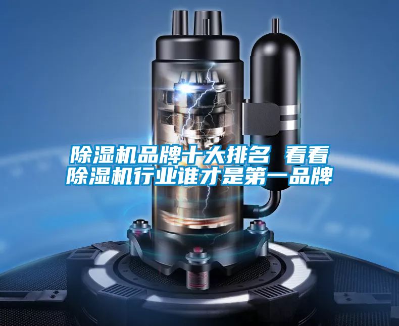 国产精品欧美激情视频 除湿机品牌十大排名 看看除湿机行业谁才是第一品牌