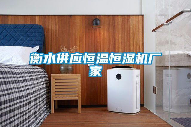 国产精品欧美激情视频 衡水供应恒温恒湿机厂家