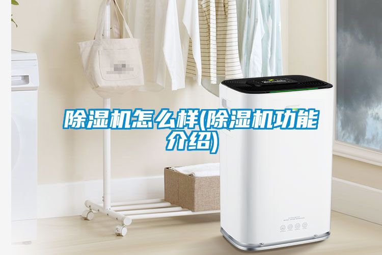 国产精品探花在线观看 除湿机怎么样(除湿机功能介绍)