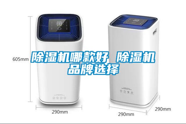 国产精品欧美激情视频 除湿机哪款好 除湿机品牌选择