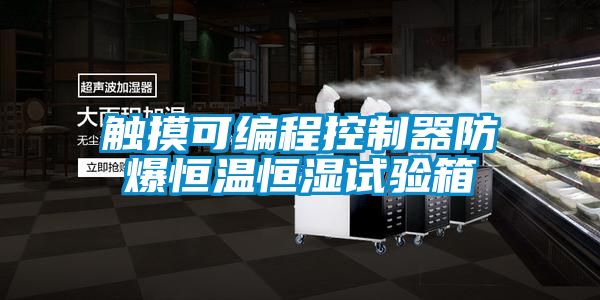 国产精品探花在线观看 触摸可编程控制器防爆恒温恒湿试验箱