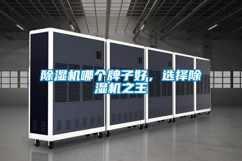 国产精品三级在线观看 除湿机哪个牌子好，选择除湿机之王