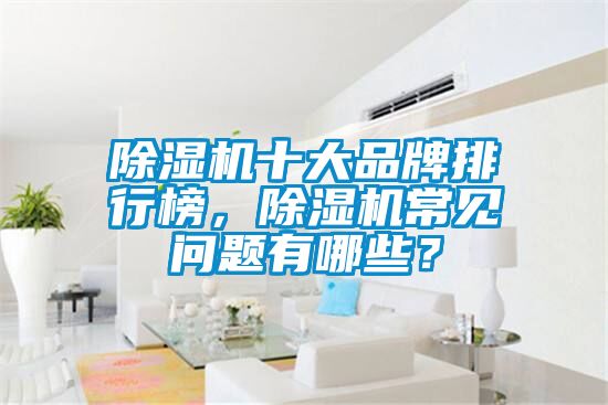 国产精品欧美激情视频 除湿机十大品牌排行榜，除湿机常见问题有哪些？