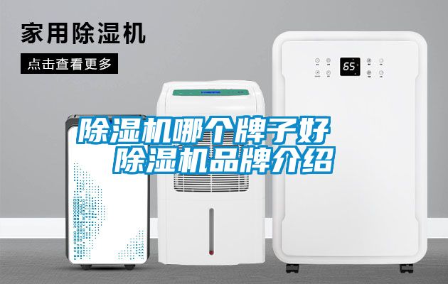国产精品三级在线观看 除湿机哪个牌子好  除湿机品牌介绍
