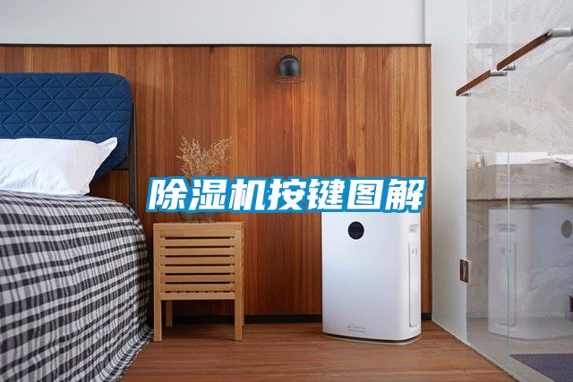 国产精品欧美激情视频 除湿机按键图解