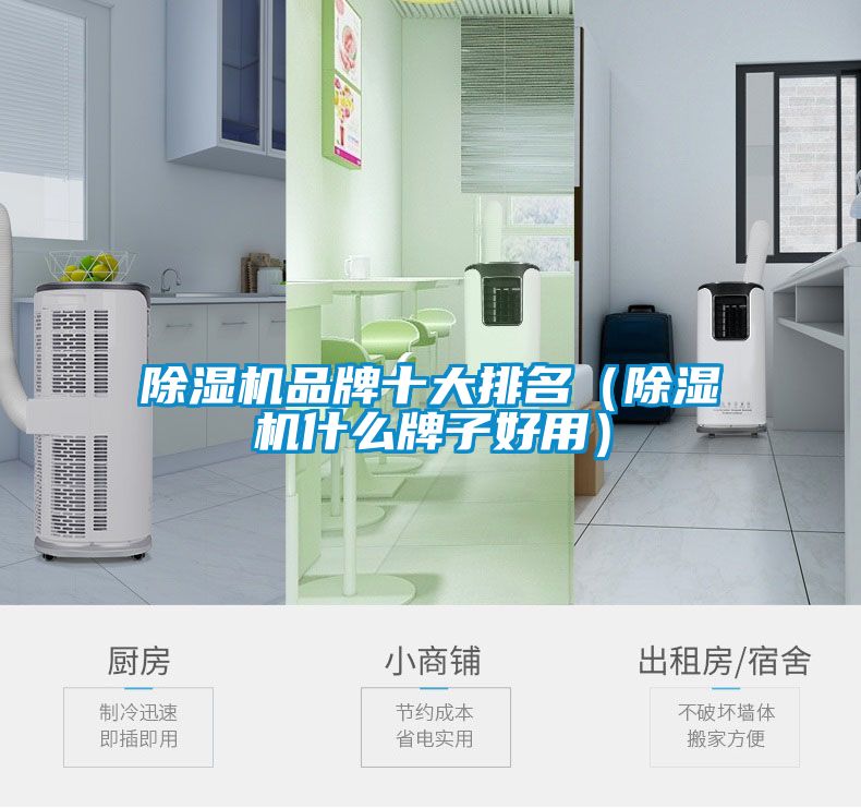 国产精品欧美激情视频 除湿机品牌十大排名（除湿机什么牌子好用）