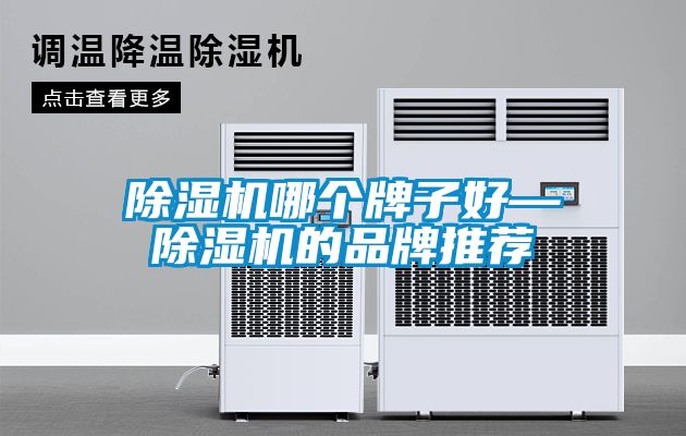 国产精品探花在线观看 除湿机哪个牌子好—除湿机的品牌推荐