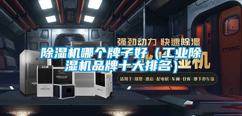 国产精品三级在线观看 除湿机哪个牌子好（工业除湿机品牌十大排名）