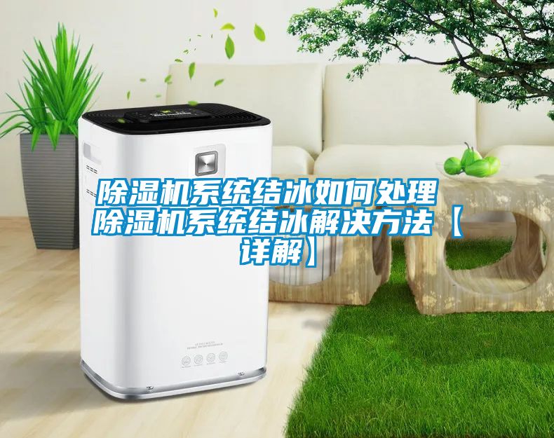 国产精品三级在线观看 除湿机系统结冰如何处理 除湿机系统结冰解决方法【详解】