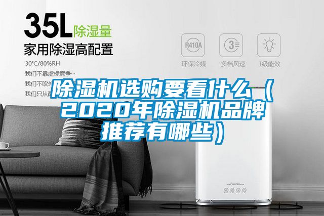 国产精品探花在线观看 除湿机选购要看什么（2020年除湿机品牌推荐有哪些）