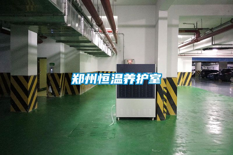 国产精品探花在线观看 郑州恒温养护室