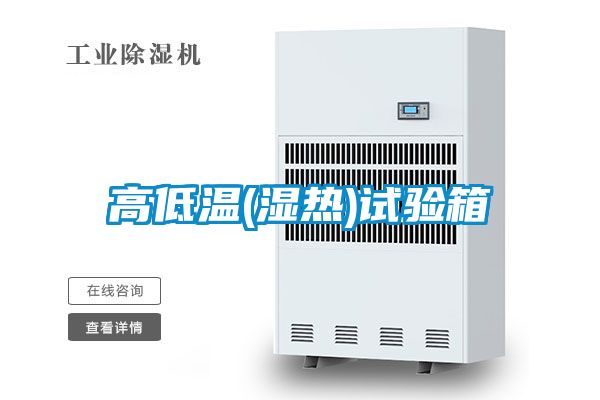 国产精品三级在线观看 高低温(湿热)试验箱