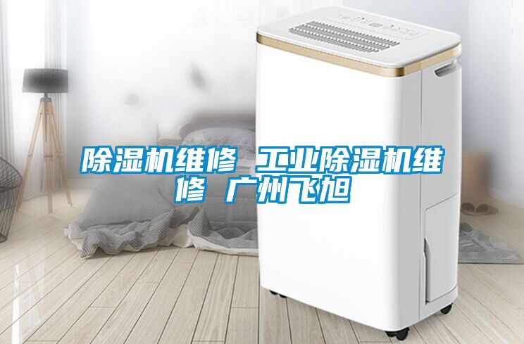 国产精品欧美激情视频 除湿机维修 工业除湿机维修 广州飞旭