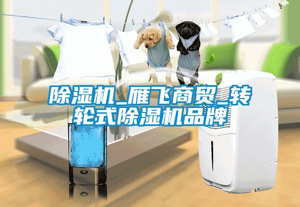 国产精品三级在线观看 除湿机_雁飞商贸_转轮式除湿机品牌