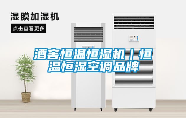 国产精品三级在线观看 酒窖恒温恒湿机｜恒温恒湿空调品牌