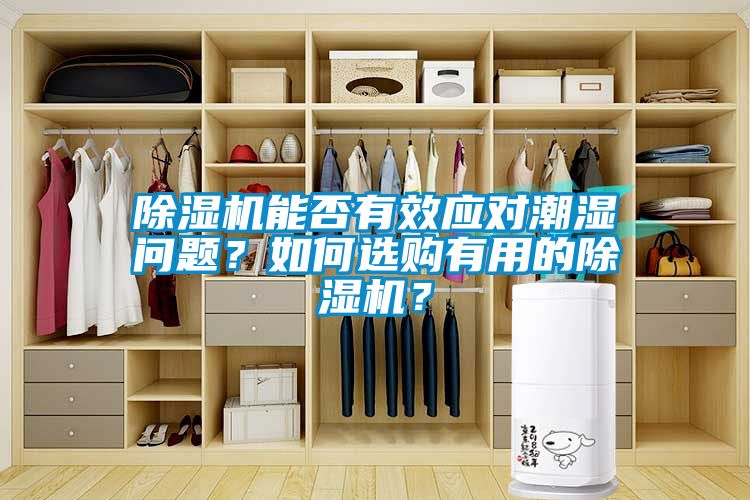 国产精品欧美激情视频 除湿机能否有效应对潮湿问题？如何选购有用的除湿机？