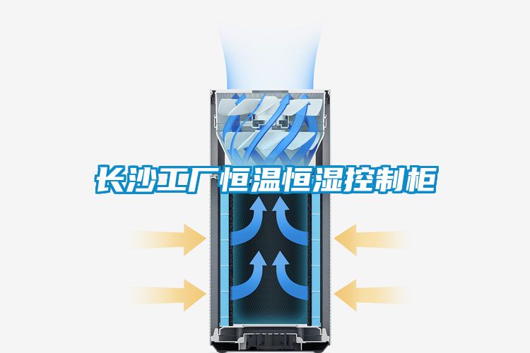 国产精品三级在线观看 长沙工厂恒温恒湿控制柜