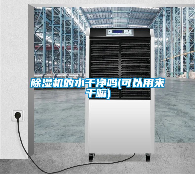 国产精品欧美激情视频 除湿机的水干净吗(可以用来干嘛)