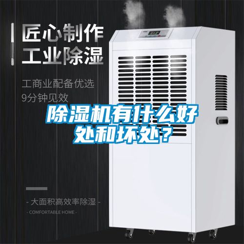 国产精品欧美激情视频 除湿机有什么好处和坏处？
